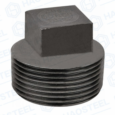 ANSI Industrial Pipe Forged Socket Plug ANSI B16.9 Bentuk Sama