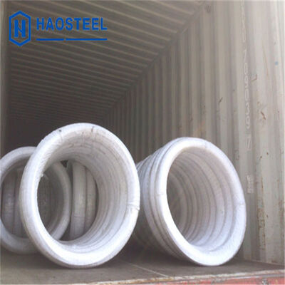 304 316L 410 0.07mm 0.13mm 1mm 2mm Kawat Baja Tahan Karat Lunak EN/AISI